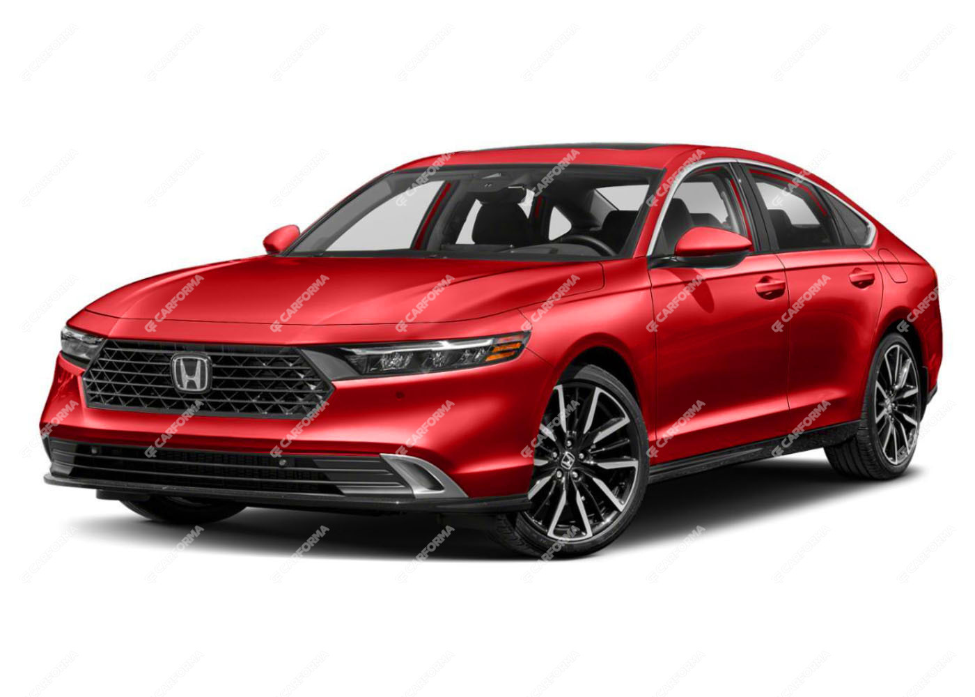 Ворсовые коврики на Honda Accord 11 2022 - 2025
