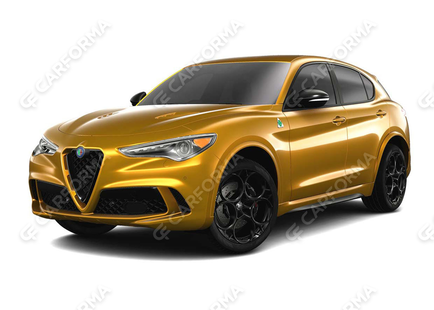 Водительские  коврики  Alfa Romeo Stelvio 2016&nbsp;-&nbsp;2026