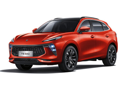 Коврики на Forthing T5 EVO 2020&nbsp;-&nbsp;2026 в Москве