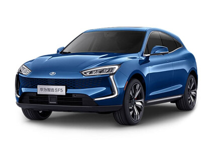 Коврики на Seres SF5 2019 - 2022 в Москве