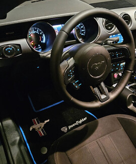 Ворсовые коврики на Ford Mustang VI 2013&nbsp;-&nbsp;2023 в Москве