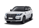 Ворсовые коврики на Changan CS95 2016 - 2025 в Москве